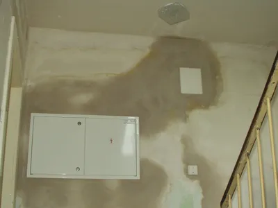 2 70 1400408112 504028 max