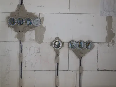 20 100 1494705142 422006 max