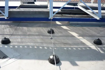 6 175 1444669125 901887 max